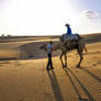 Rajasthan Tour Packages