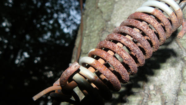 Rust on a Wire by pastaab on DeviantArt