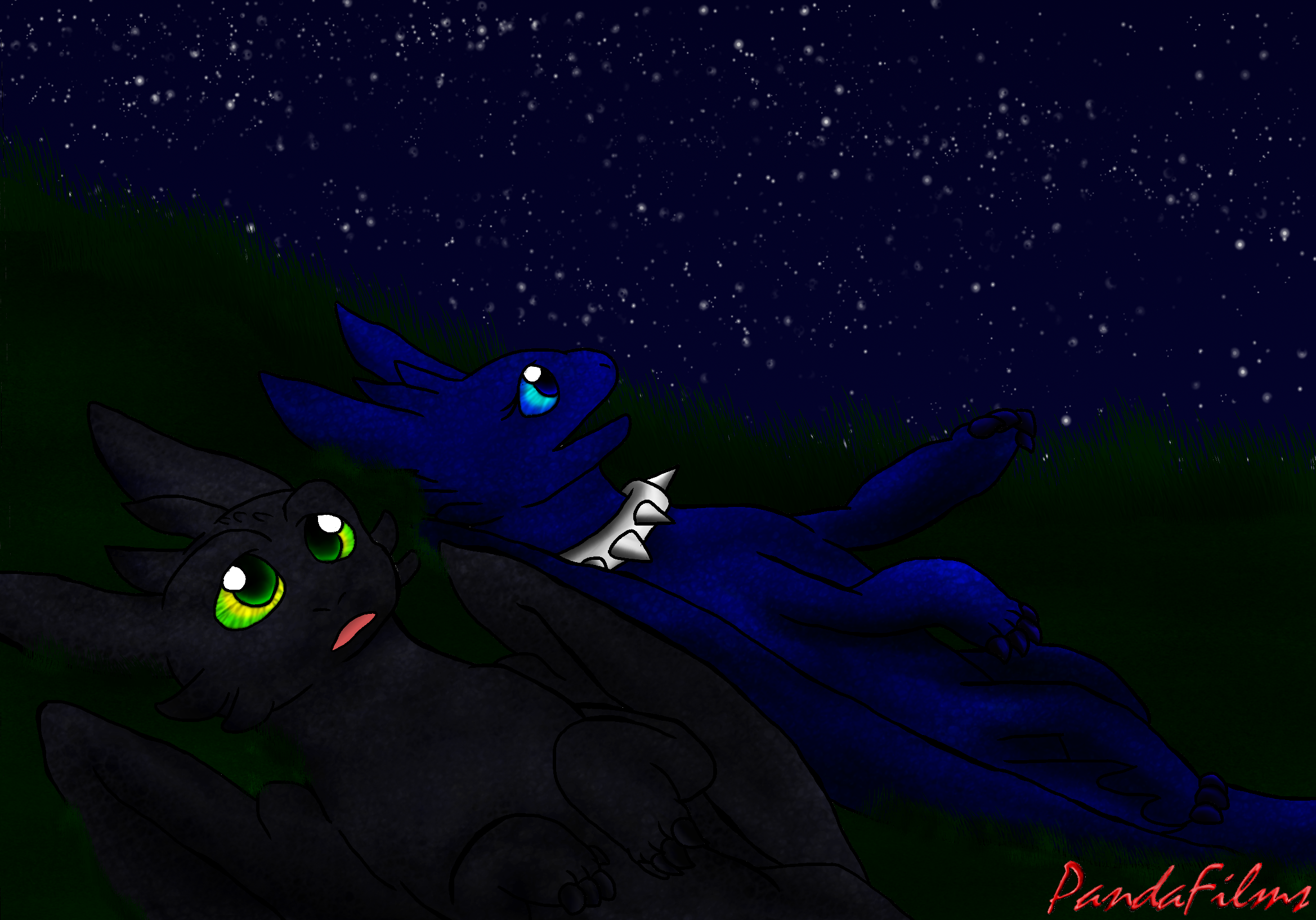 The Nightstar and The Nightflower