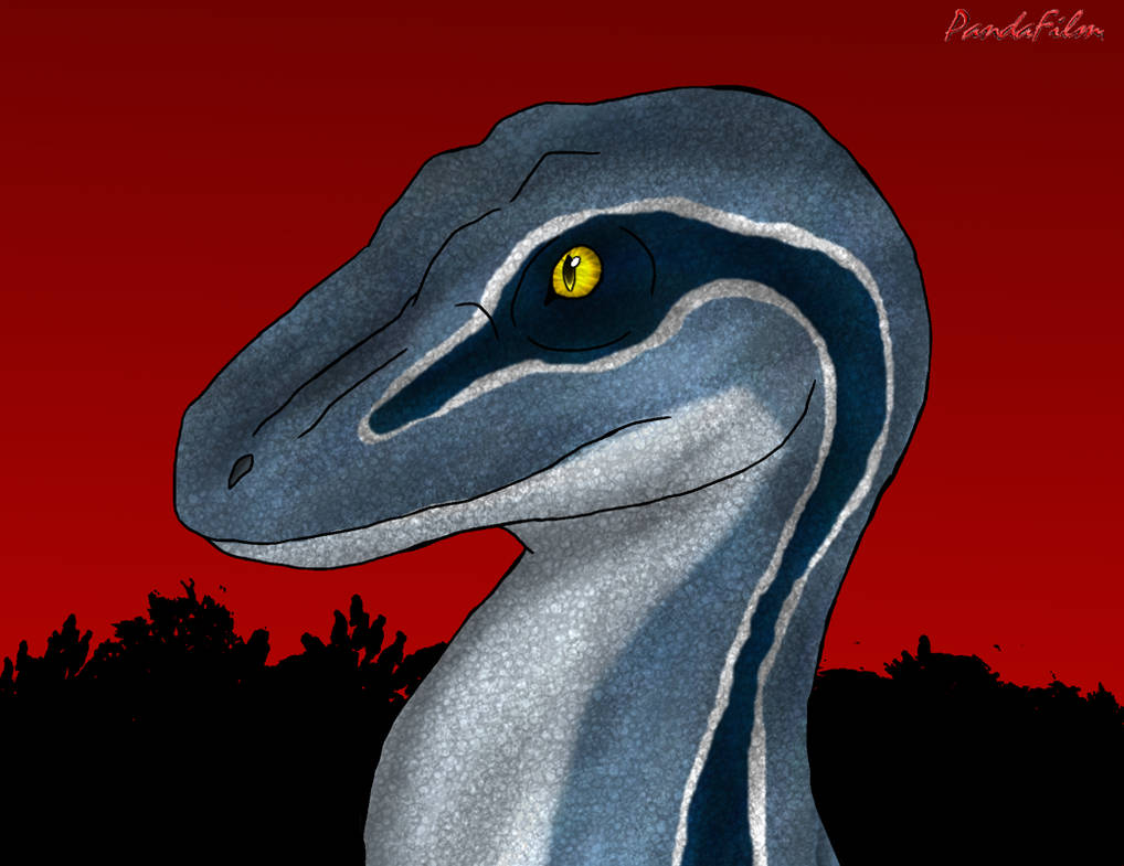 Velociraptor: Blue of the Raptor Squad by DragonDogFilmsG on DeviantArt