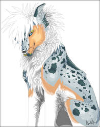 Blue merle