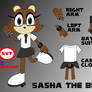 Sasha the Bear Reference