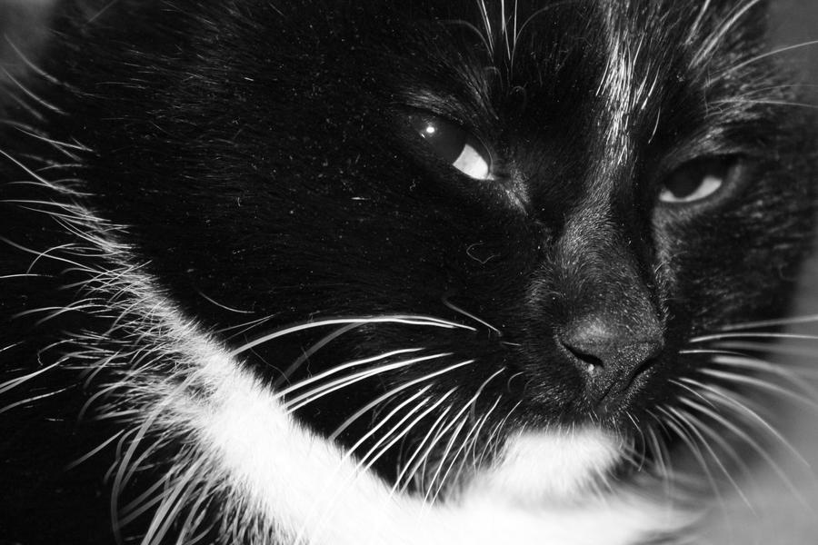 Contemptuous Color Contemptuous look by AlenaRain on DeviantArt