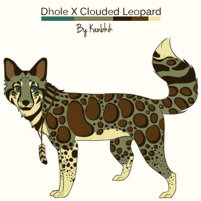 Clouded Dhole