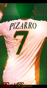 David Pizarro 160x300