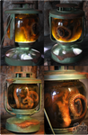 The last Octopus Lantern by Nymla