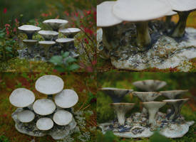 Fungi Palette 1