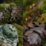 MossyMoss