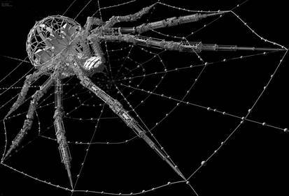 Arachnid  - Geometry detail (@~7Kpx )