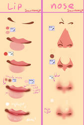 Step by Step - Lips and Nose