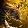 Glowing Ocelot 