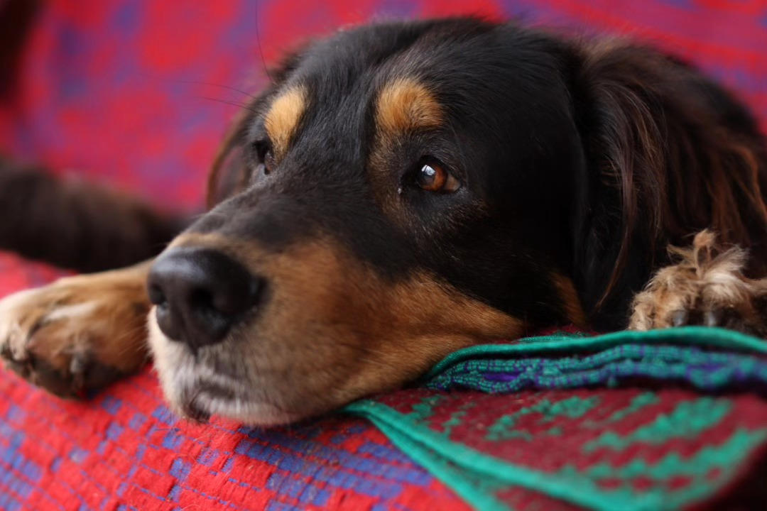 Codru 9 by theverita on DeviantArt