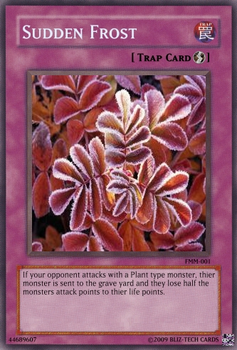 yugioh plant trap cards Pojo's Yu-Gi-Oh! Site If this card is destroyed by a card effect while equipped A Yu-Gi-Oh! Traptrix Deck Tech