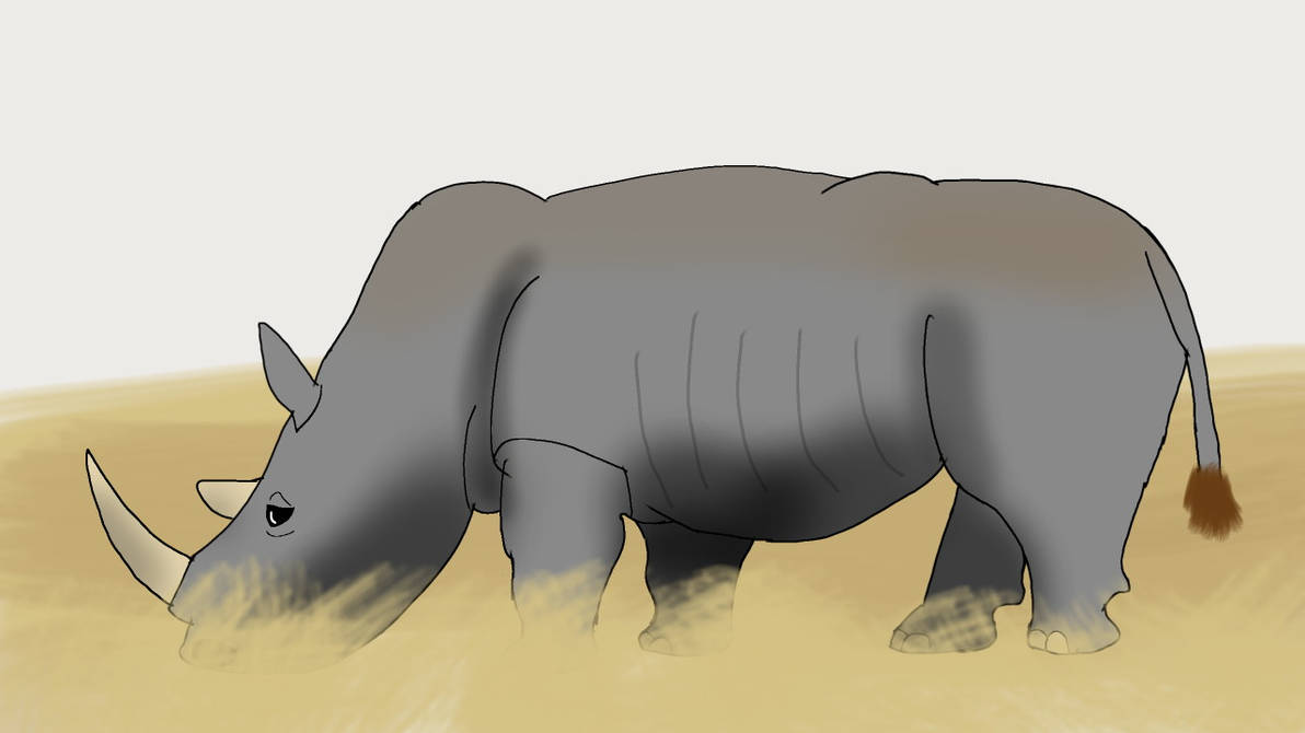 Rhino by erodrigu259 on DeviantArt