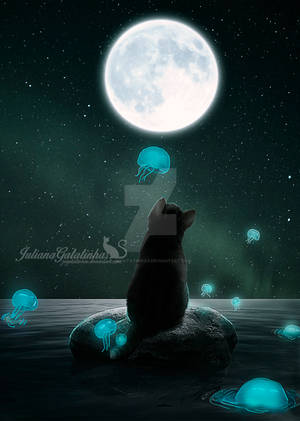 Night of jellyfish by jugatatinhas Night of jellyfish by jugatatinhas