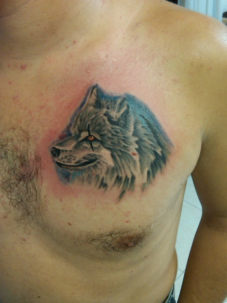 Wolf