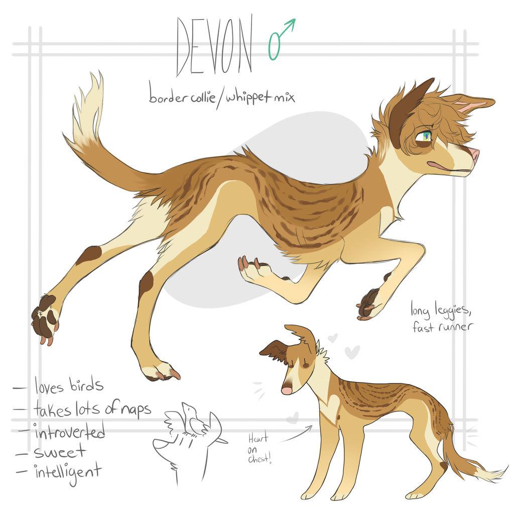 CLOSED AUCTION - Devon