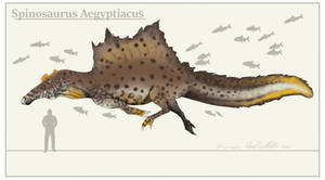 Spinosaurus Aegyptiacus