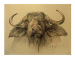 buffalo head by Natamur