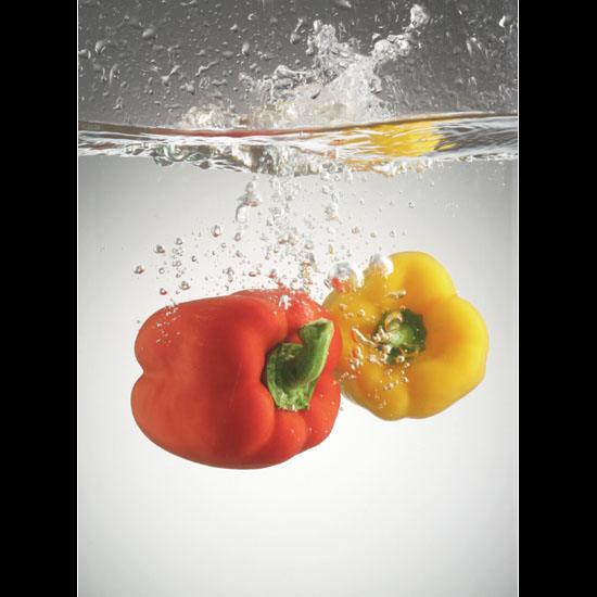 Capsicum Study 03