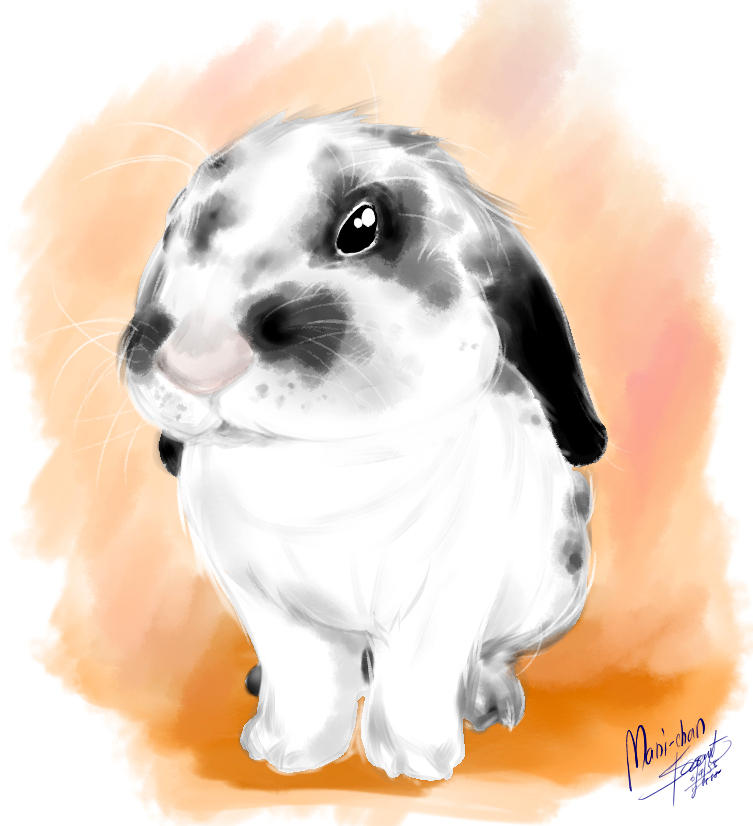 Mentahan Rabbit Mani-chan the rabbit by saintcosevent on DeviantArt