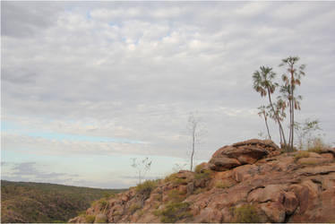 Top of the Gorge - II