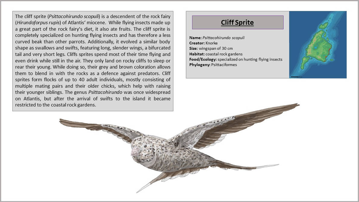 Atlantis Phase III - Psittacohirundo scopuli by KnorkesDrawings on ...