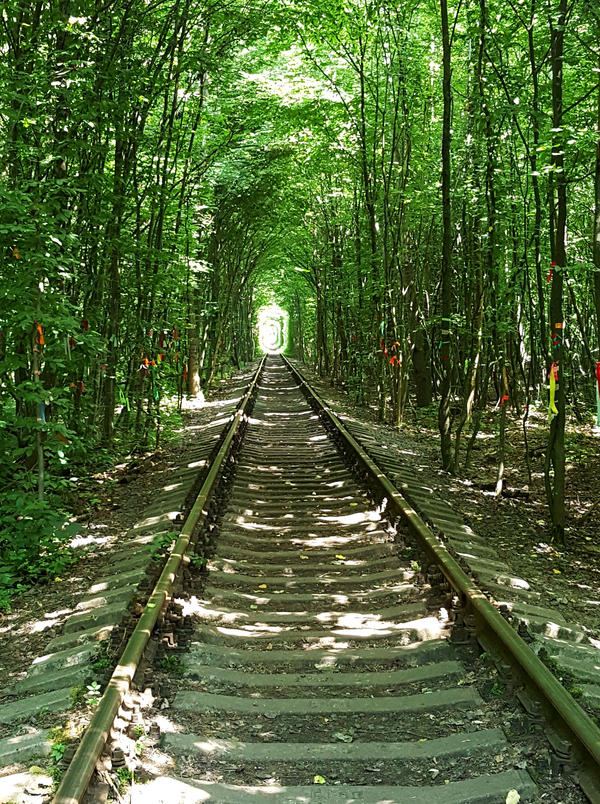Raylarin arasinda...