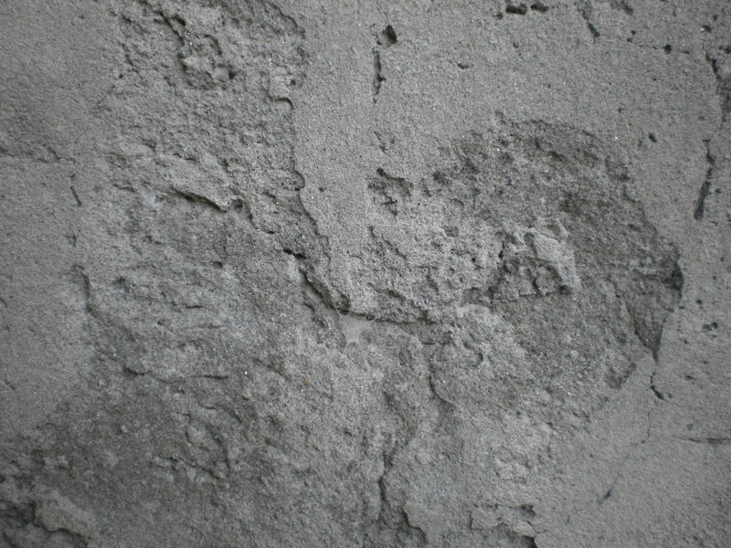 Cement Wall Texture 2 by MrHighsky