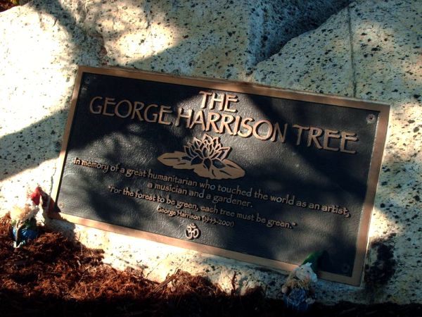 George's Tree by Applebonker on DeviantArt