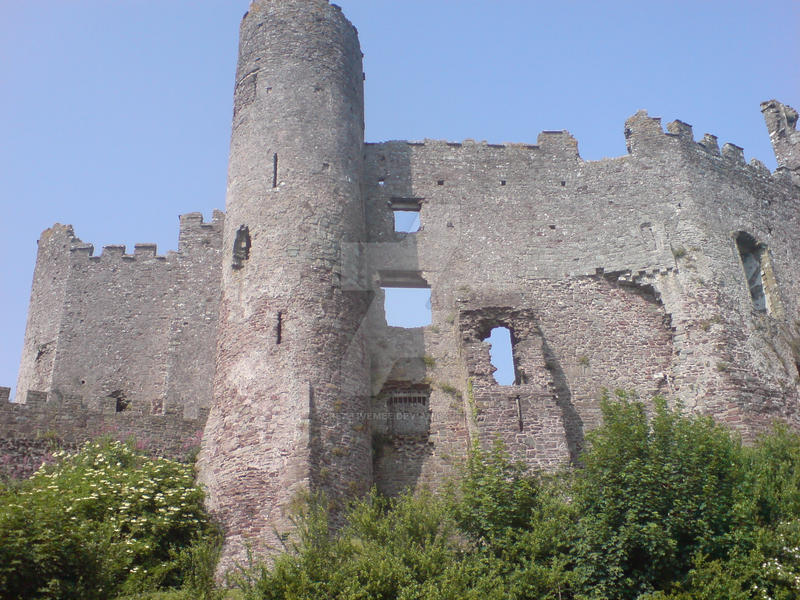 Laugharne Carmarthenshire