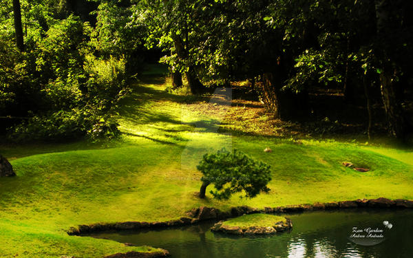 Zen Garden