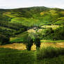 Tuscany Valley