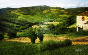 Tuscany Valley