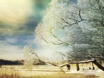 Winter's Whisper by AndreaAndrade