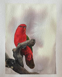 Red Lory