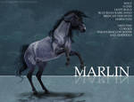 REF-- Marlin