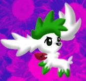 Shaymin without line art