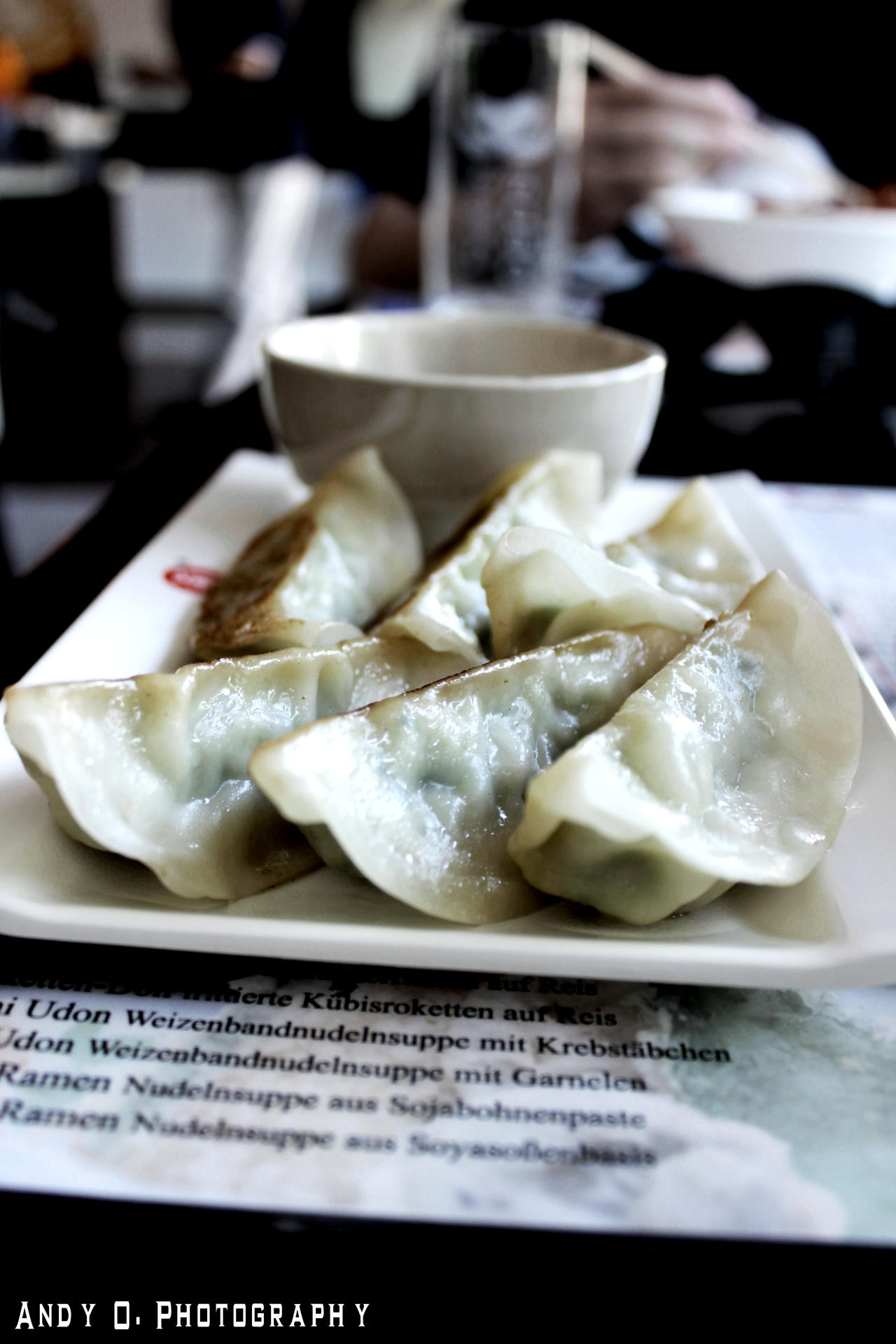 Gyoza...delicious!