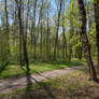 Spring in the Park