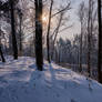Winter Day 9