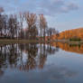 Evening in the Park