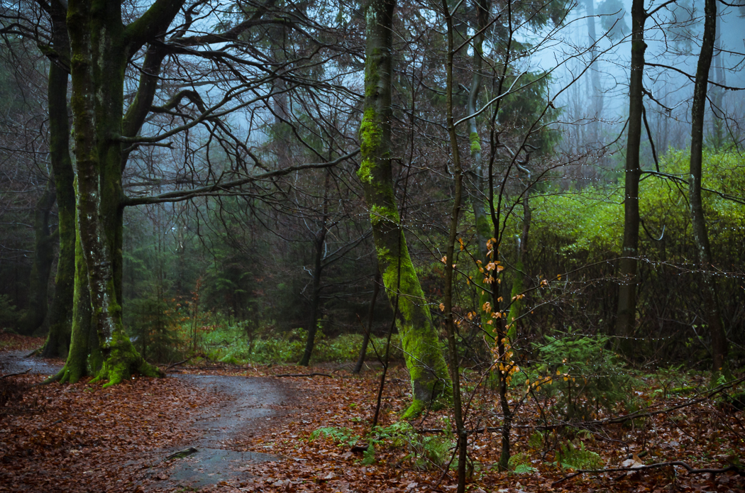 Spooky path by aw-landscapes on DeviantArt