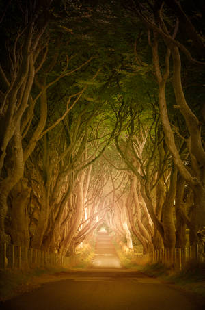 To the unknown by aw-landscapes To the unknown by aw-landscapes