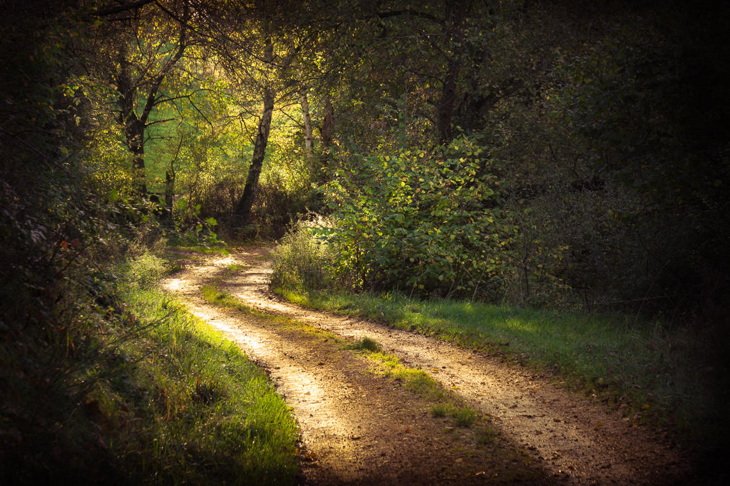 Follow the tracks by aw-landscapes