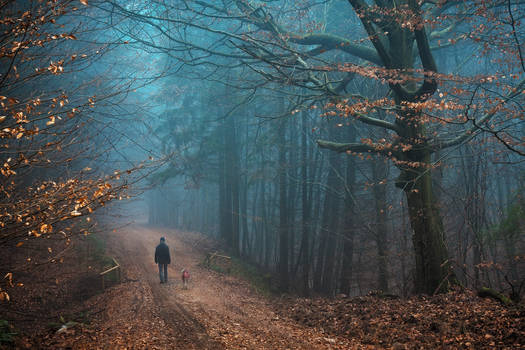 Leaves dancing with the mist