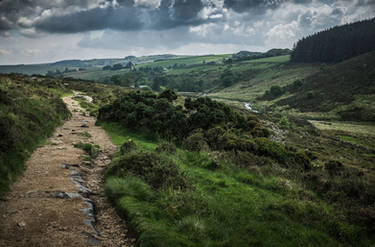 Rocky Path