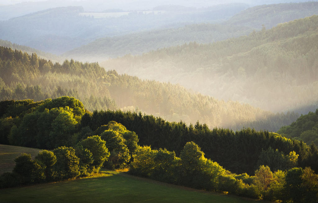 Misty light by aw-landscapes