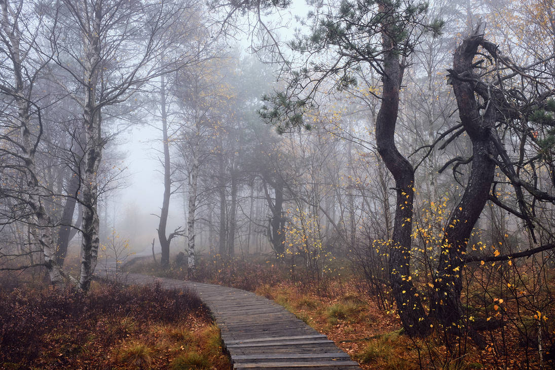 Path into the Unknown by aw-landscapes on DeviantArt