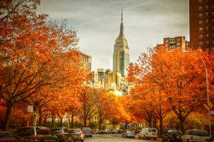 Street of New York